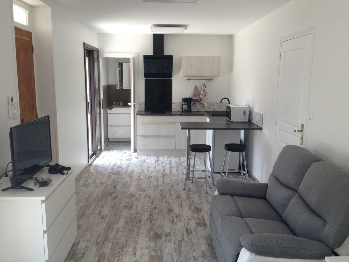 Maison 4 Etoiles Et Studio 3 Etoiles Independants Avec Piscine Л'Иль-сюр-ла-Сорг Экстерьер фото